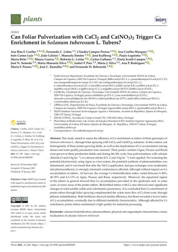 Can Foliar Pulverization with CaCl2 and Ca(NO3)2 Trigger Ca ... Imagem 1