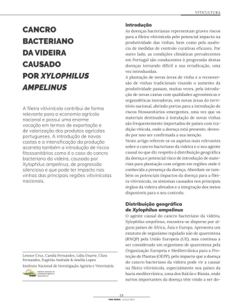 CANCRO BACTERIANO DA VIDEIRA CAUSADO POR XYLOPHILUS ... Imagem 1