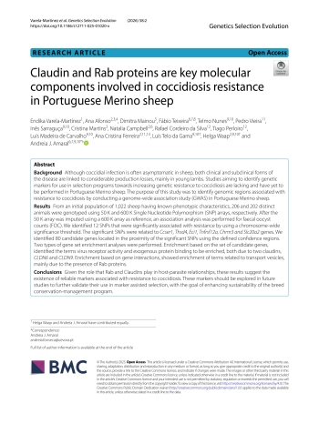 Claudin and Rab proteins are key molecular components ... Imagem 1