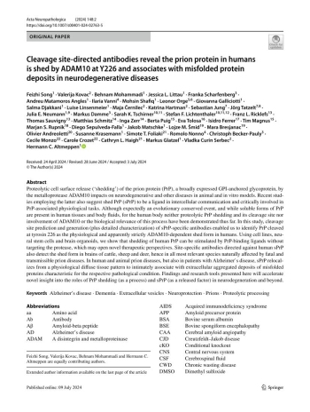 Cleavage site-directed antibodies reveal the prion protein ... Imagem 1