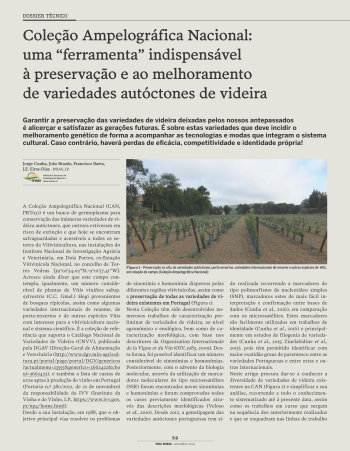 Coleção Ampelográfica Nacional: uma “ferramenta” ... Imagem 1