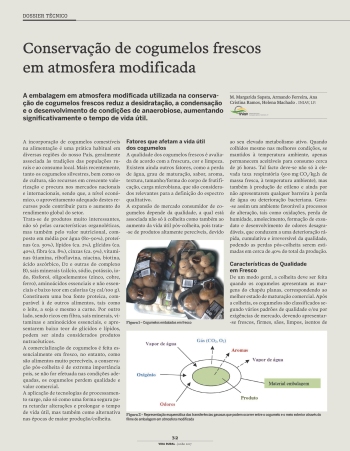 Conservação de cogumelos frescos em atmosfera modificada Imagem 1