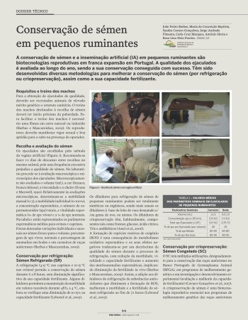 Conservação de sémen em pequenos ruminantes Imagem 1