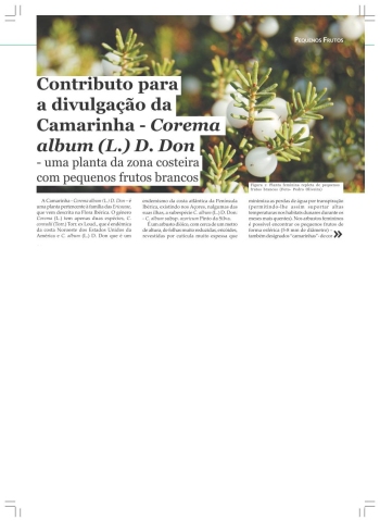 Contributo para a divulgação da Camarinha - Corema album ... Imagem 1