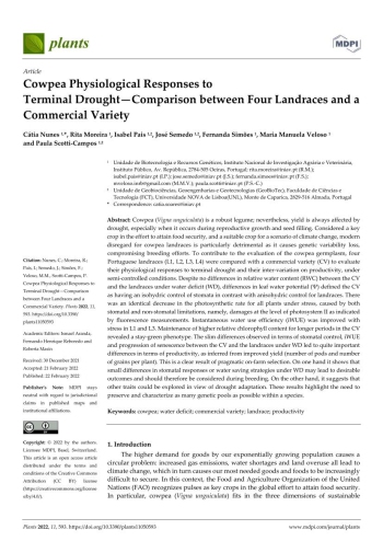 Cowpea Physiological Responses to Terminal Drought - ... Imagem 1