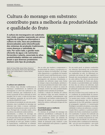 Cultura do morango em substrato: contributo para a melhoria ... Imagem 1