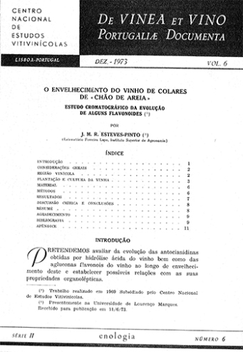 O envelhecimento do vinho de Colares de &quot;Chão de Areia&quot;. ... Imagem 1