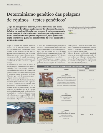 Determinismo genético das pelagens de equinos – testes ... Imagem 1