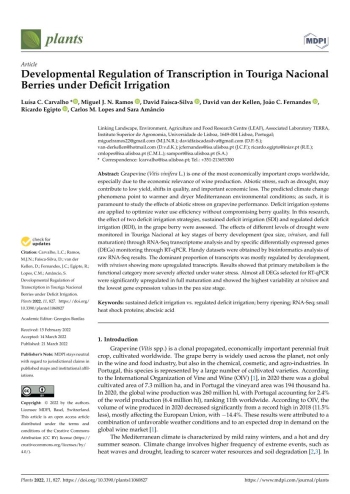 Developmental Regulation of Transcription in Touriga ... Imagem 1