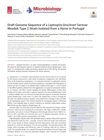 Draft Genome Sequence of a Leptospira kirschneri Serovar ... Imagem 1