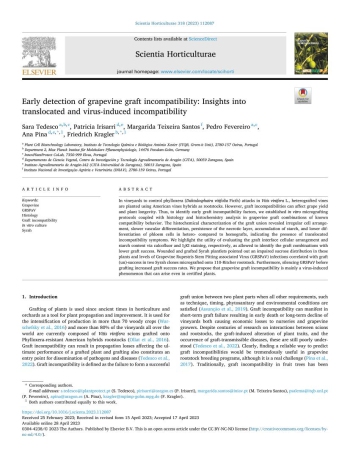 Early detection of grapevine graft incompatibility: ... Imagem 1