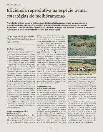 Eficiência reprodutiva na espécie ovina: estratégias de ... Imagem 1