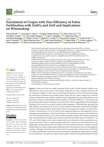 Enrichment of Grapes with Zinc-Efficiency of Foliar ... Imagem 1