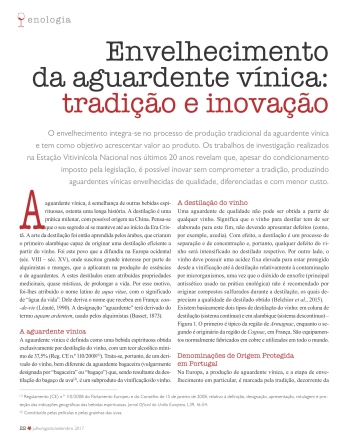 Envelhecimento da aguardente vínica: tradição e inovação Imagem 1