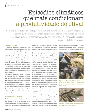 Episódios climáticos que mais condicionam a produtividade ... Imagem 1