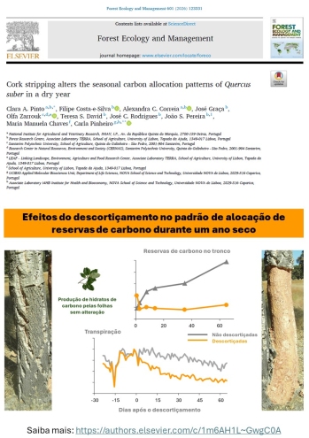 Cork stripping alters the seasonal carbon allocation ... Imagem 1