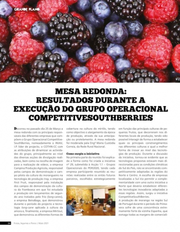Mesa redonda: Resultados durante a execução do Grupo ... Imagem 1