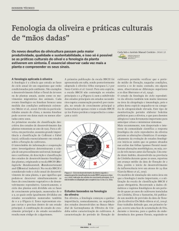 Fenologia da oliveira e práticas culturais de “mãos dadas” Imagem 1
