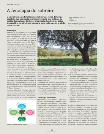 A fenologia do sobreiro Imagem 1