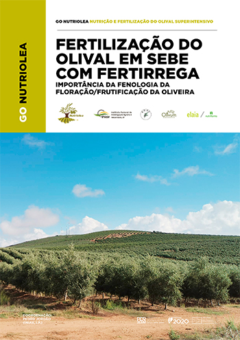 Fertilização do olival em sebe com fertirrega. Importância ... Imagem 1