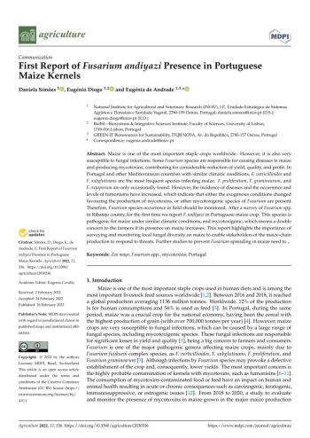 First Report of Fusarium andiyazi Presence in Portuguese ... Imagem 1