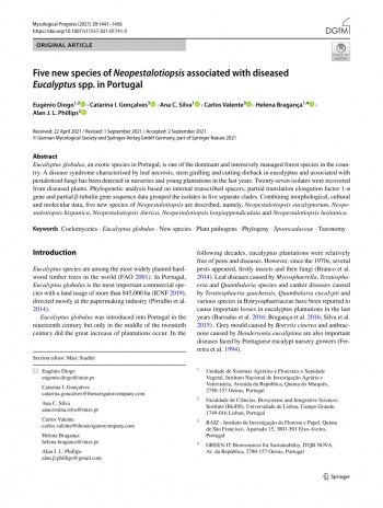 Five new species of Neopestalotiopsis associated with ... Imagem 1