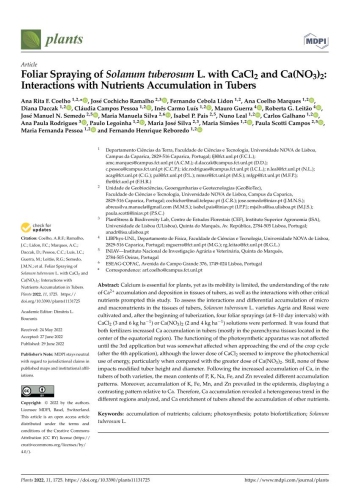 Foliar Spraying of Solanum tuberosum L. with CaCl2 and ... Imagem 1
