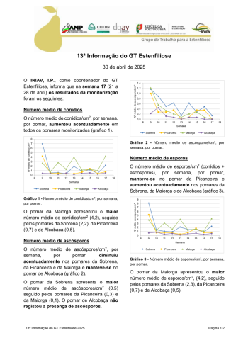 13ª Informação do GT Estenfiliose 2025 Imagem 1