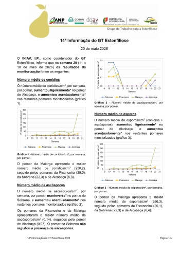 14ª Informação do GT Estenfiliose 2026 Imagem 1