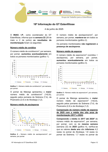 18ª Informação do GT Estenfiliose 2025 Imagem 1