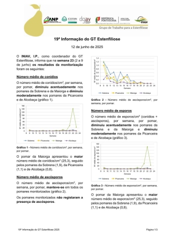 19ª Informação do GT Estenfiliose 2025 Imagem 1