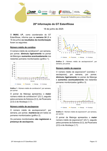 20ª Informação do GT Estenfiliose 2025 Imagem 1