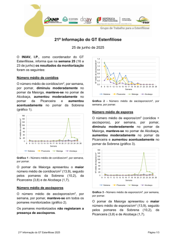 21ª Informação do GT Estenfiliose 2025 Imagem 1
