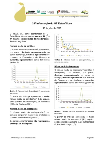 24ª Informação do GT Estenfiliose 2025 Imagem 1