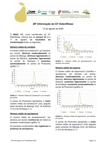 28ª Informação do GT Estenfiliose 2025 Imagem 1