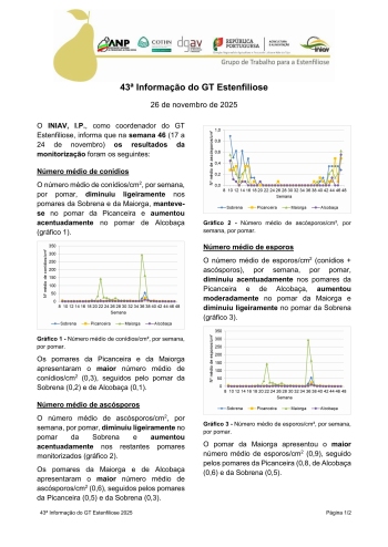 43ª Informação do GT Estenfiliose 2025 Imagem 1