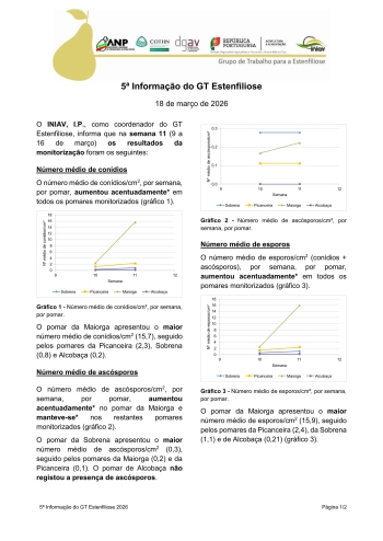 5ª Informação do GT Estenfiliose 2026 Imagem 1