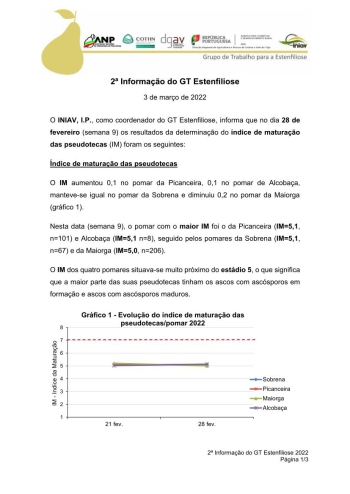 2 Informação do GT Estenfiliose 2022 Imagem 1