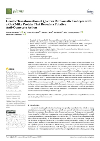 Genetic Transformation of Quercus ilex Somatic Embryos with ... Imagem 1