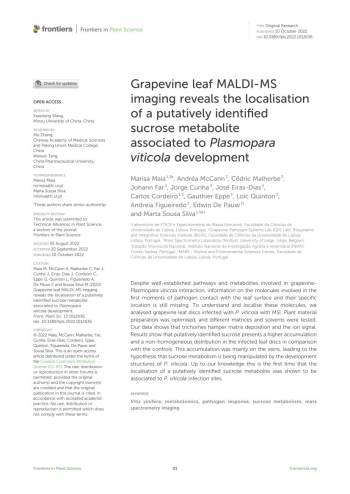 Grapevine leaf MALDI-MS imaging reveals the localisation of ... Imagem 1