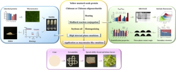 High internal phase emulsions stabilized by yellow mustard ... Imagem 1