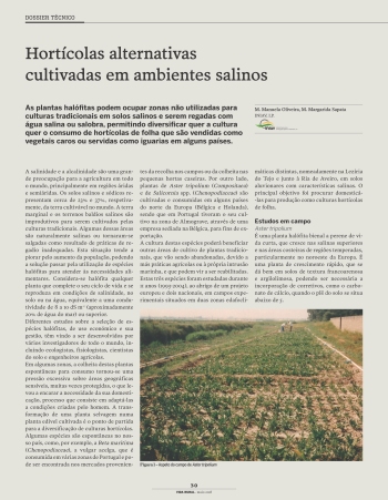 Hortícolas alternativas cultivadas em ambientes salinos Imagem 1