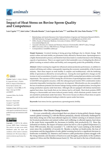 Impact of Heat Stress on Bovine Sperm Quality and Competence Imagem 1