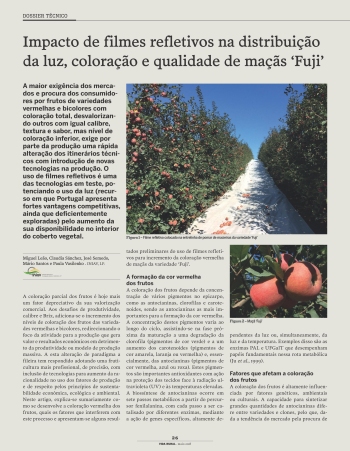 Impacto de filmes refletivos na distribuição da luz, ... Imagem 1