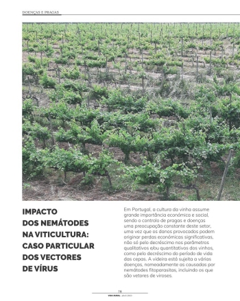 IMPACTO DOS NEMÁTODES NA VITICULTURA: CASO PARTICULAR DOS ... Imagem 1