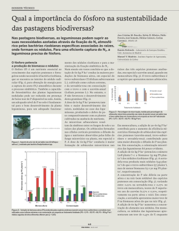 Qual a importância do fósforo na sustentabilidade das ... Imagem 1