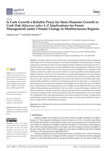 Is Cork Growth a Reliable Proxy for Stem Diameter Growth in ... Imagem 1