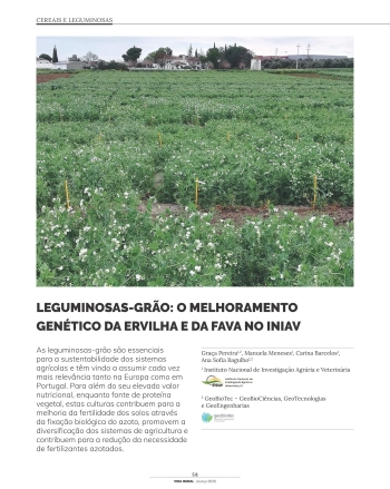 LEGUMINOSAS-GRÃO: O MELHORAMENTO GENÉTICO DA ERVILHA E DA ... Imagem 1