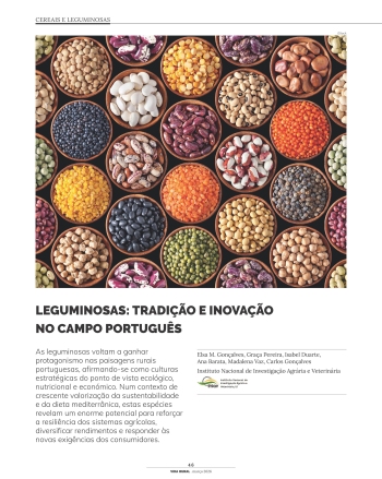LEGUMINOSAS: TRADIÇÃO E INOVAÇÃO NO CAMPO PORTUGUÊS Imagem 1