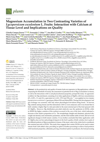 Magnesium Accumulation in Two Contrasting Varieties of ... Imagem 1